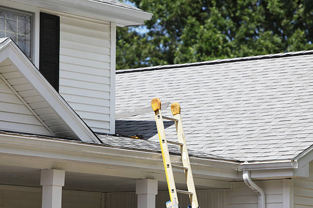 Best Custom Trim and Detailing for Siding  in , MO